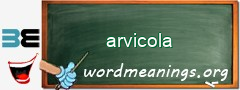 WordMeaning blackboard for arvicola